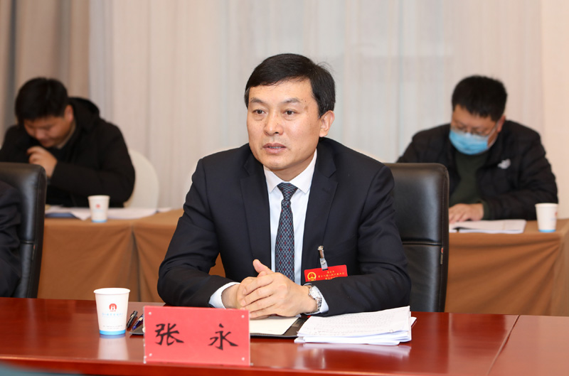 张永参加军分区代表团审议