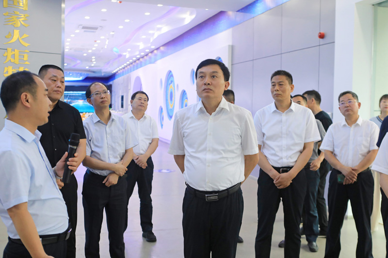 张永调研铝基高端金属材料产业发展
