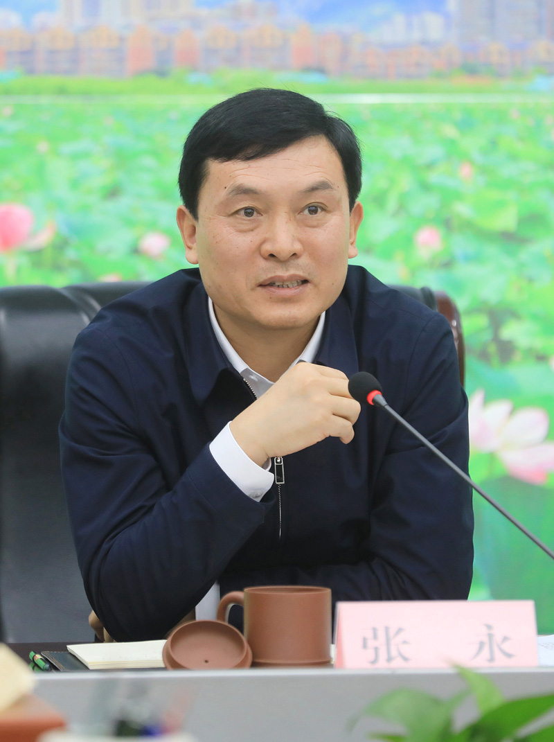 张永调研绿金湖南湖西岸片区规划建设工作