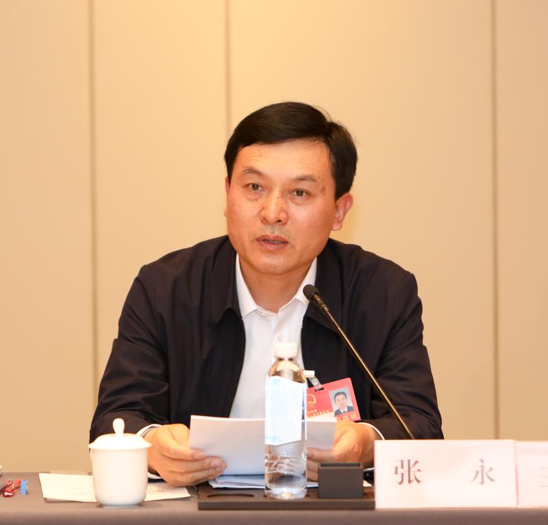 省人大代表张永,方宗泽,张飞飞,杨正,卢新江,李朝晖等参加会议.