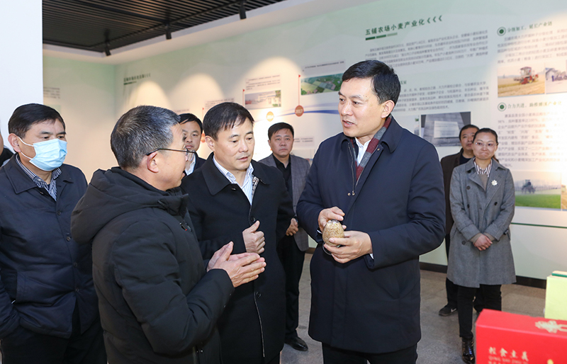 张永调研全市种业工作_淮北市人民政府