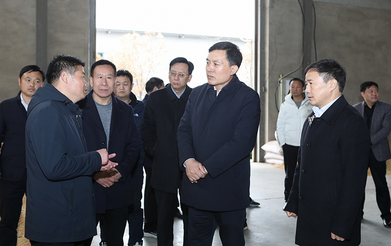 张永调研全市种业工作