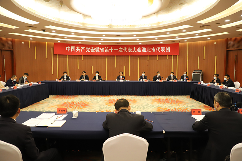 郑栅洁参加淮北市代表团审议