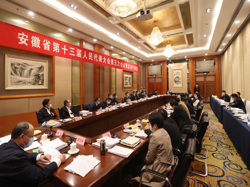 淮北市代表团继续审议省政府工作报告