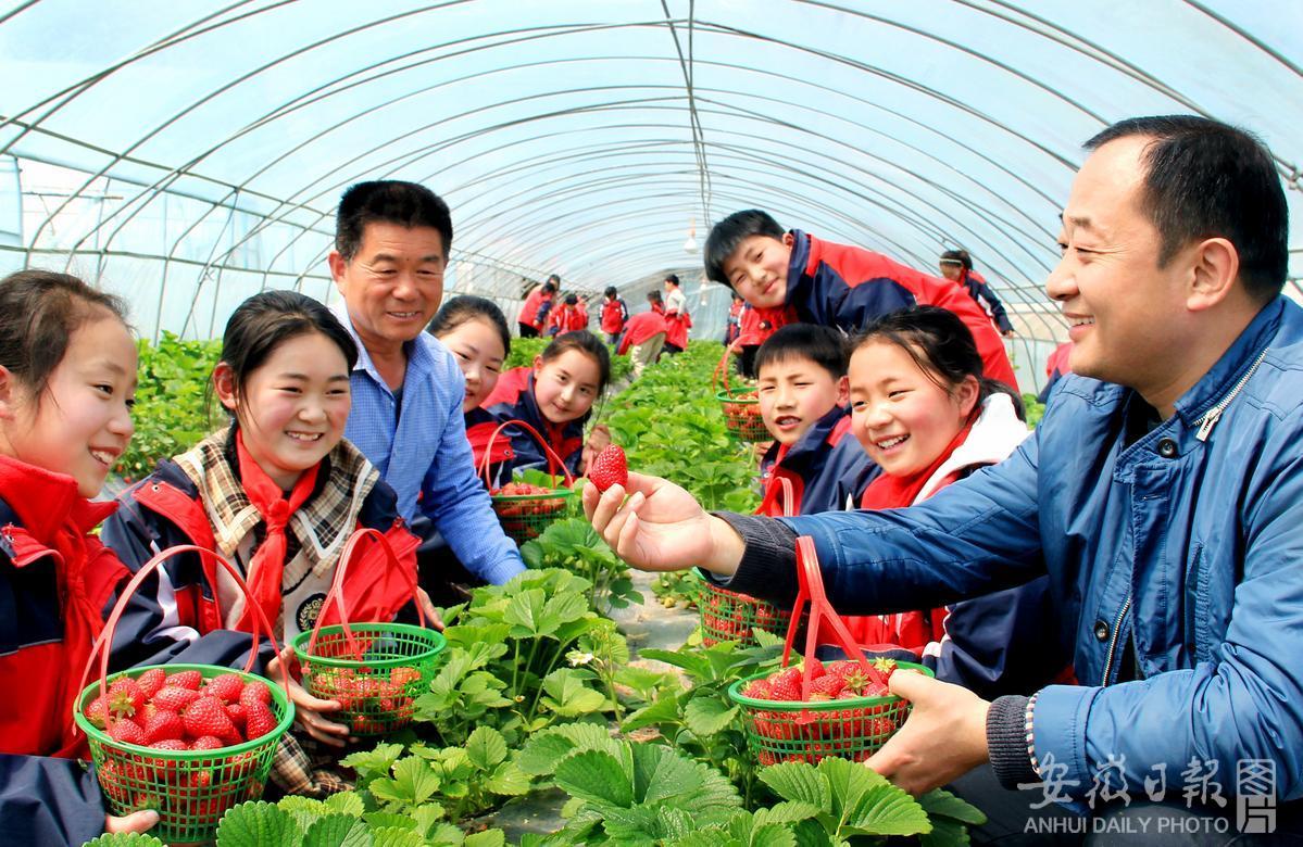 4月2日，淮北市濉溪县蒙村小学在濉溪镇蒙村周末果蔬种植家庭农场劳动教育实践基地开设田间课堂，邀请农技专家为学生讲授现代农业培育技术，以劳动课程为主线，引导学生崇尚劳动、尊重劳动，将劳动意识与劳动能力的培养贯穿学生成长的全过程，不断提升学生的劳动素养。