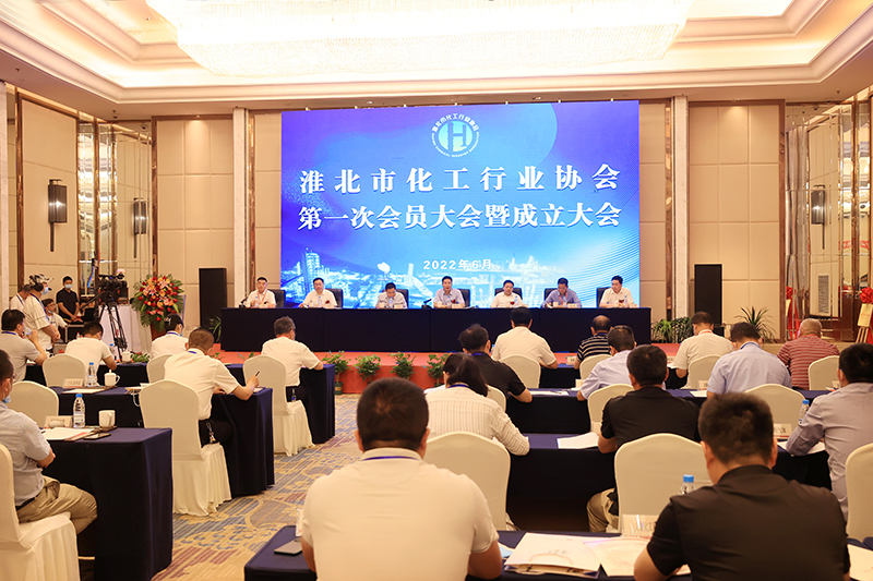 市委书记,市长覃卫国,市委副书记操隆山出席会议,并为协会揭牌.