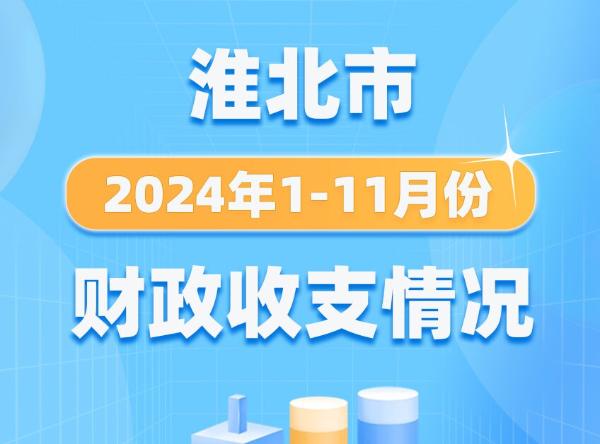 淮北市2024年1-11月份财政收支情况