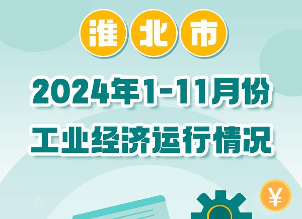 淮北市2024年1-11月份工业经济运行情况