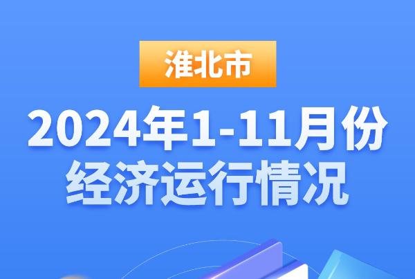 淮北市2024年1-11月份经济运行情况