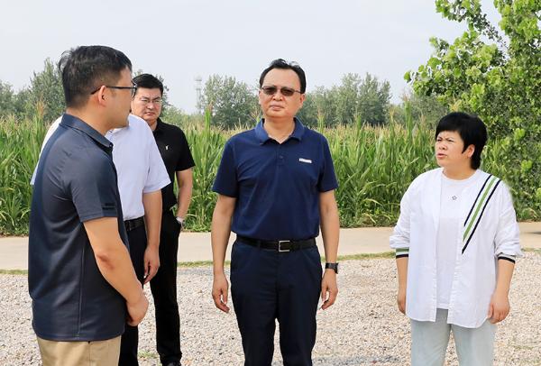 蒋曦调研督导重点项目建设工作