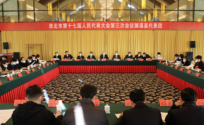 汪华东参加淮北市十七届人大三次会议濉溪县和杜集区代表团审议