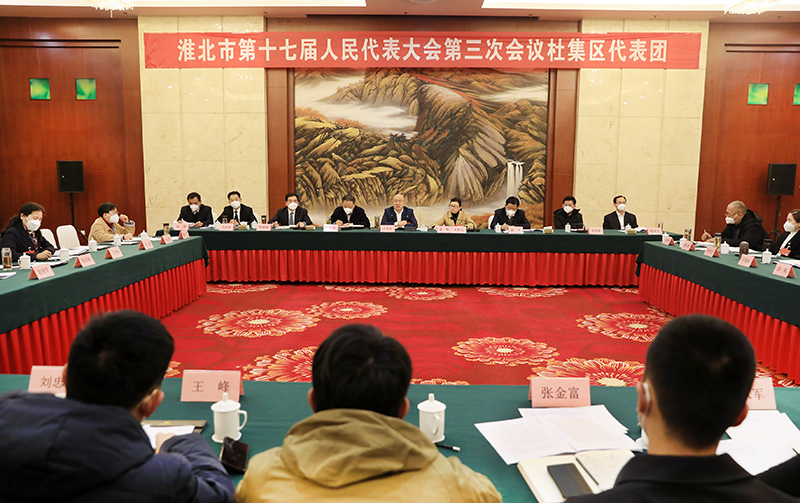 市委副书记,市长汪华东先后来到市十七届人大三次会议濉溪县和杜集区