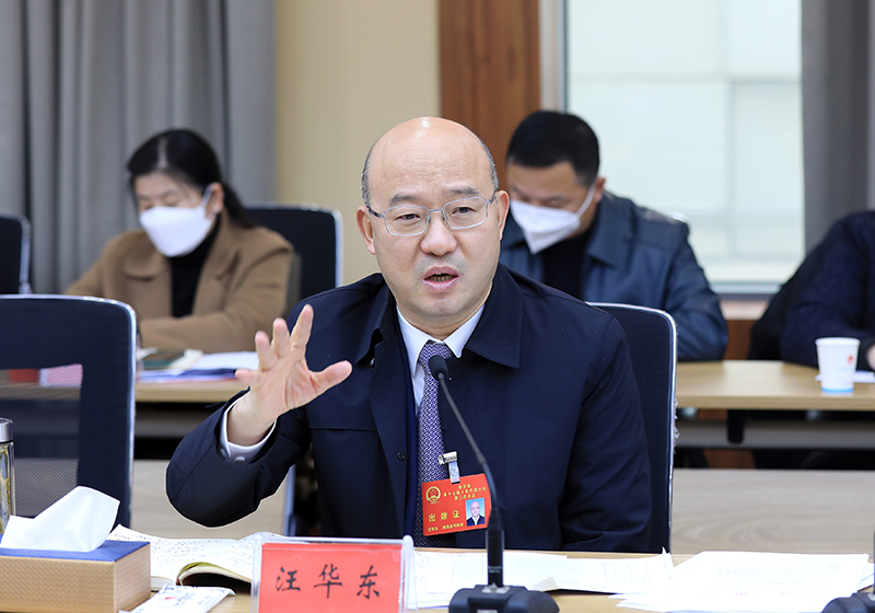 汪华东参加相山区烈山区代表团审议