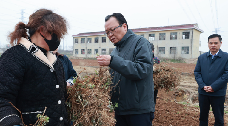 蒋曦调研特色农业产业项目