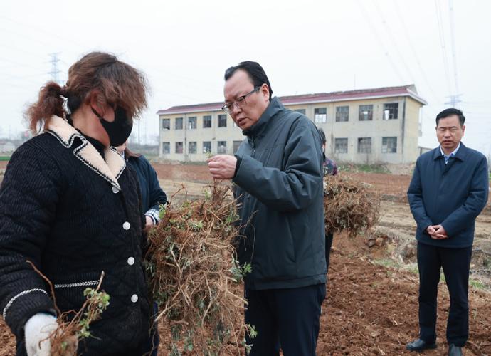 蒋曦在调研特色农业产业项目时强调
因地制宜发展特色产业
推动农文旅商融合发展