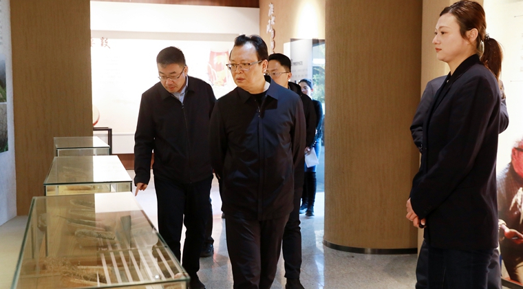 蒋曦调研文旅产业发展助力结构调整工作