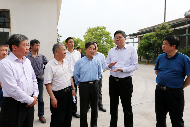 5月10日下午,省审计厅党组书记,厅长戴克柱率督导组,来淮督导重点企业